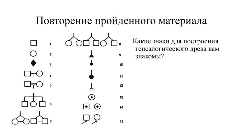 Условные обозначения в генеалогическом древе