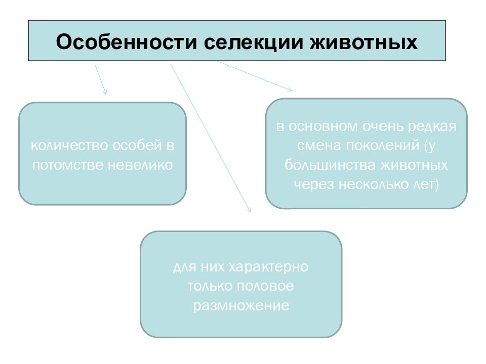 Селекция основные методы и достижения презентация 10 класс