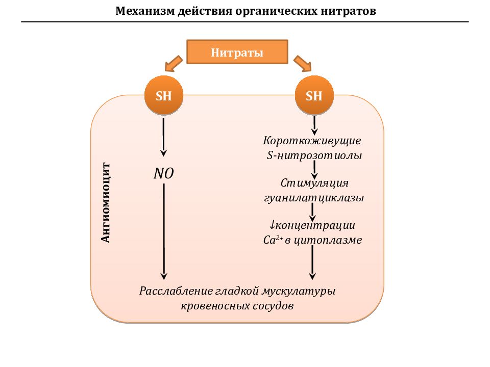 Витамин д фармакология презентация