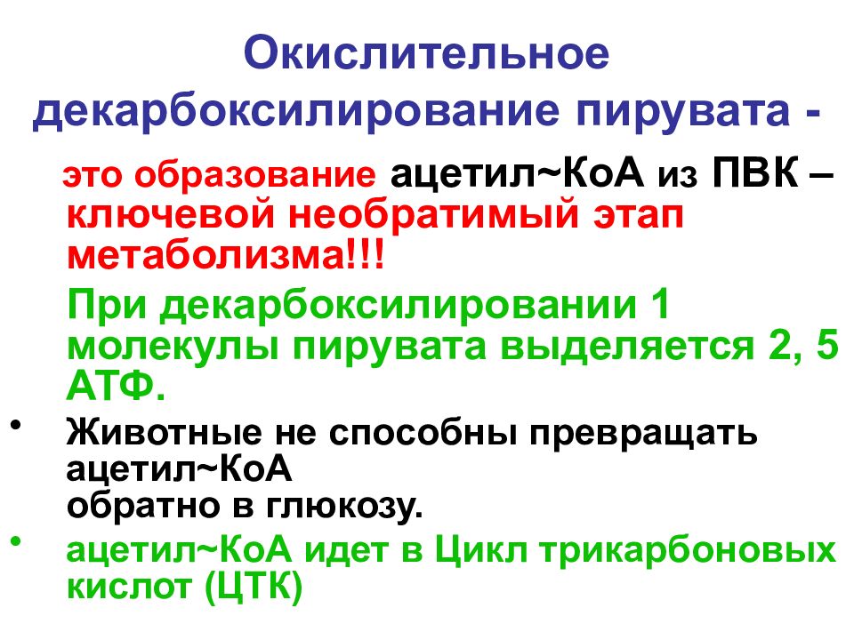 УГЛЕВОДЫ: функции и обмен Окислительное декарбоксилирование пирувата -