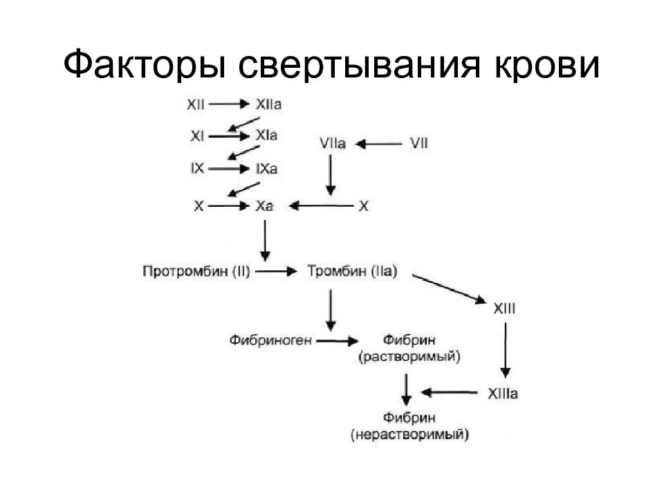 Схема активации свертывающей системы крови