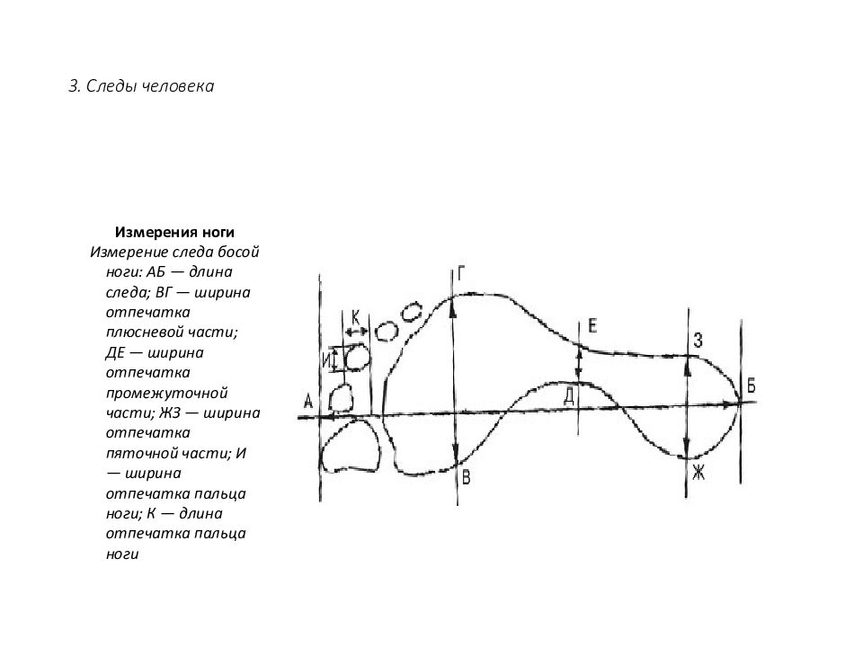 Характеристика следа. Измерение следа босой ноги. Ширина отпечатка промежуточной части. Измерение ноги измерение следа босой ноги. Части следа босой ноги криминалистика.