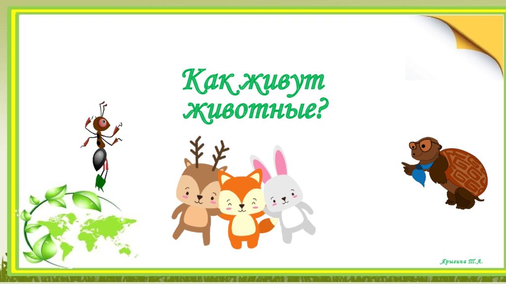 Как живут животные ? Ярыгина Т.А
