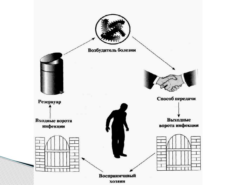 Резервуар возбудителя инфекции. Резервуар возбудителя инфекционной болезни. Резервуары возбудителей ИСМП. Безопасность в очаге инфекционного заболевания.