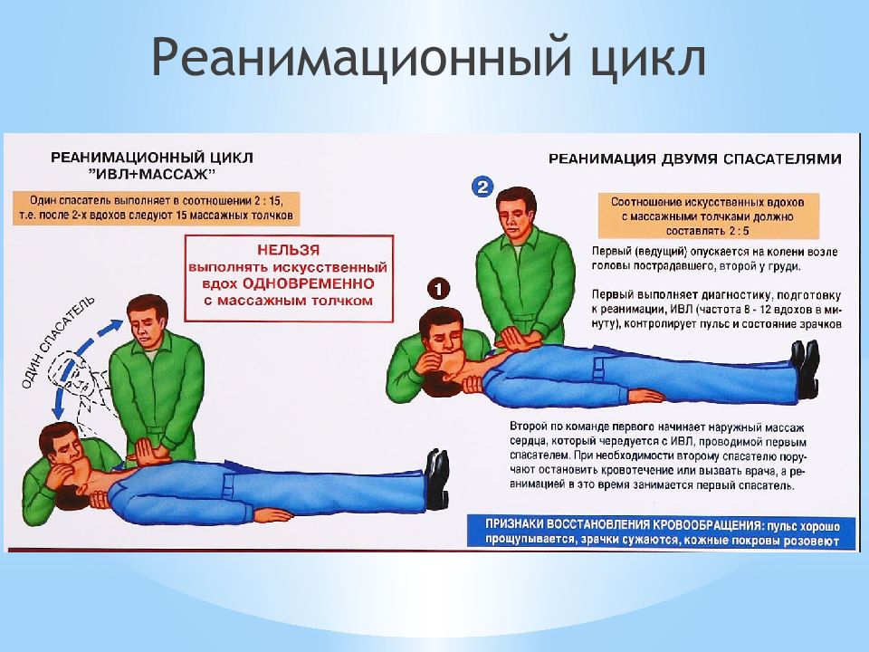 Сердечно легочная реанимация вне лечебного учреждения презентация