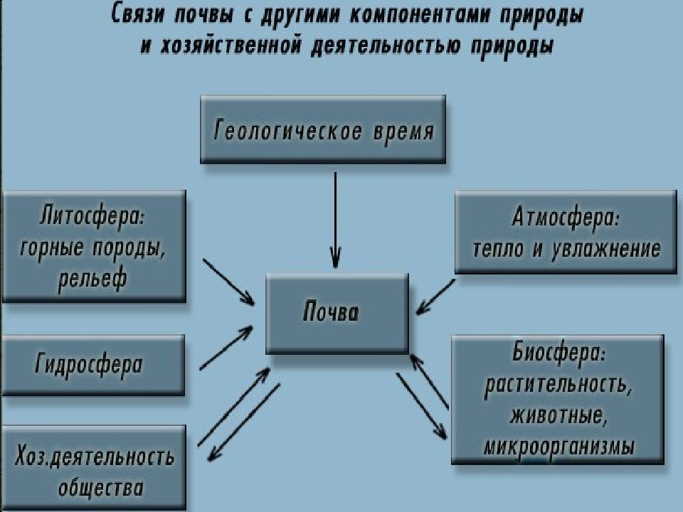 В образце содержащем большое количество атомов радона 222 86