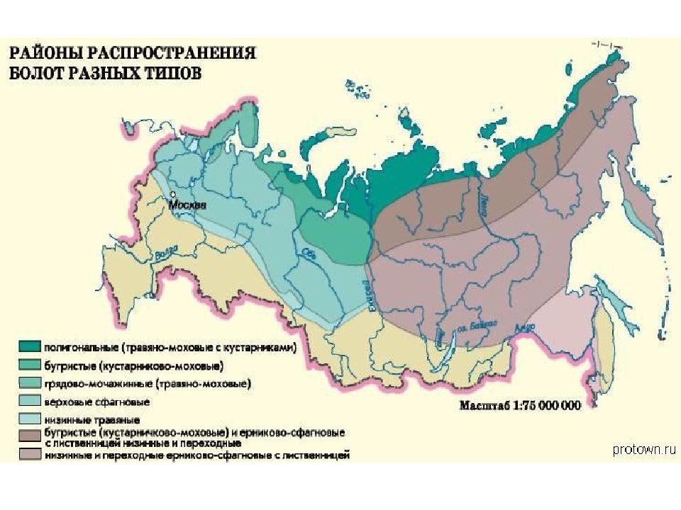 3 особенности природы. Наибольшую площадь заболоченности страны. Заболоченность территории Владивостока список. Страны с наибольшей площади заболоченности.