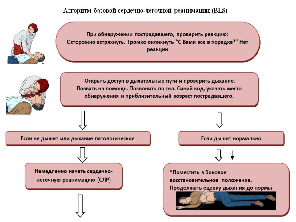 Қауіпсіздік бойынша бағдарлама ( ҚАУІПСІЗДІК КОДЫ )