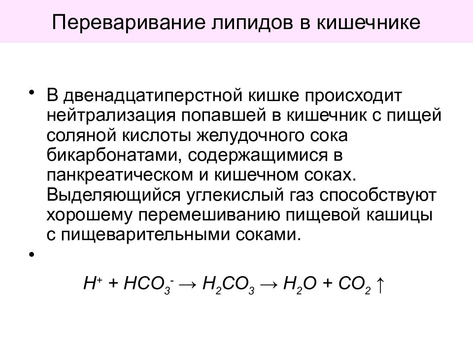 Нейтрализация соляной кислоты. Переваривание липидов в кишечнике. Нейтрализация соляной кислоты в двенадцатиперстной кишке. Нейтрализация соляной кислоты в 12 перстной. Обезвреживание соляной кислоты в кишечнике.