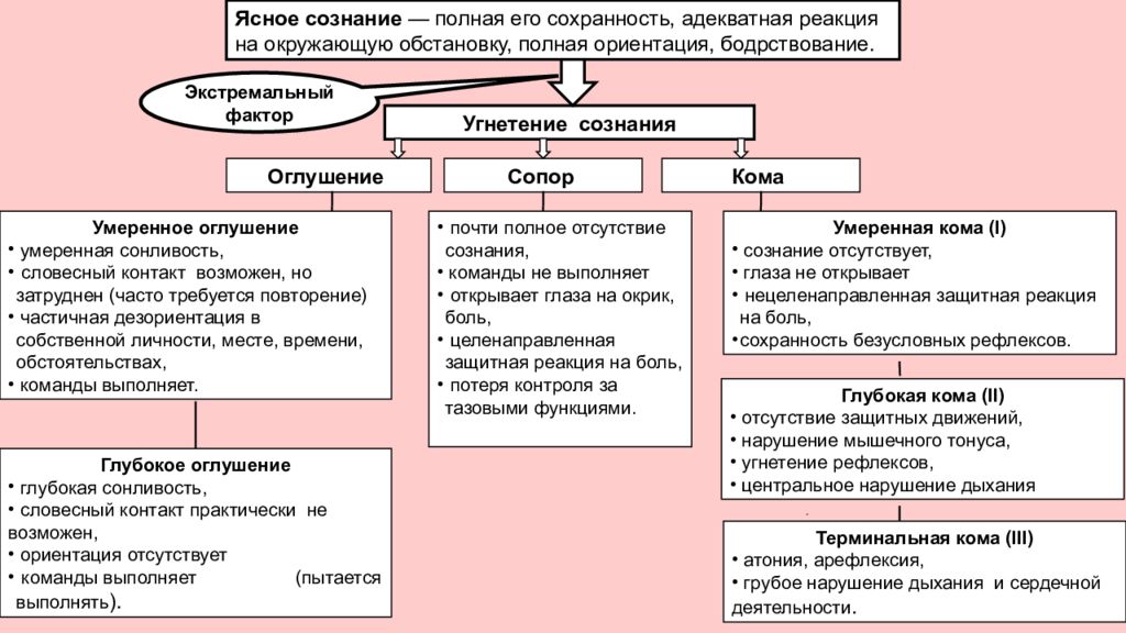 Пропедевтика нервных болезней презентация