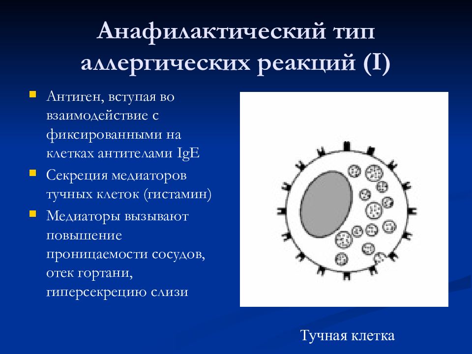 Патология иммунной системы презентация