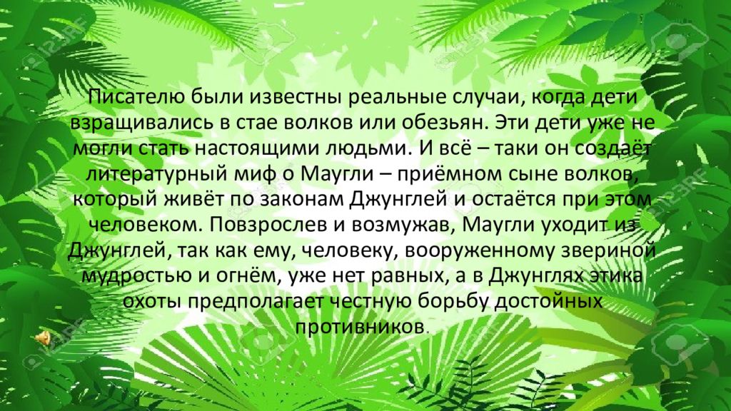 Закон джунглей Киплинг. Закон джунглей гласит. Книга законов джунглей. Вы забыли закон джунглей.