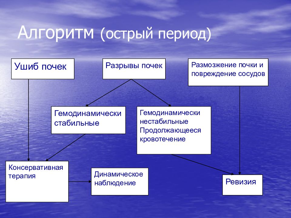 Травмы органов мочевыделительной системы презентация