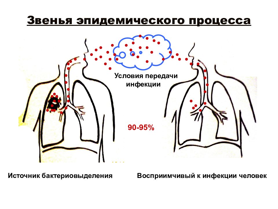 Звенья эпидемического процесса