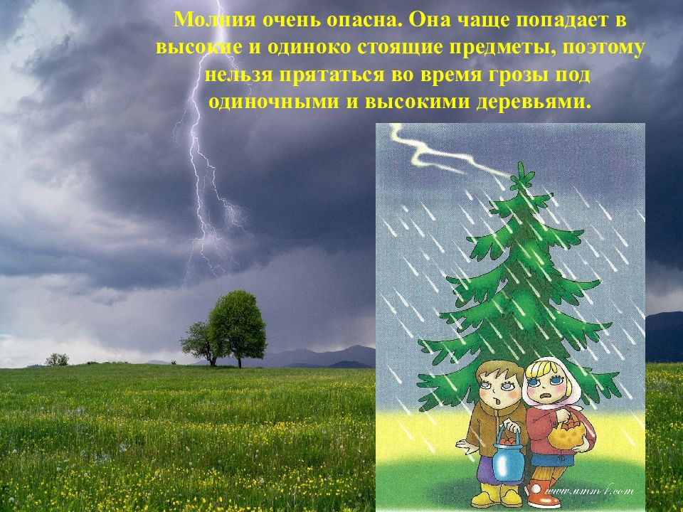 Прятаться под деревом во время грозы. Безопасность при грозе. Поведение во время грозы презентация.