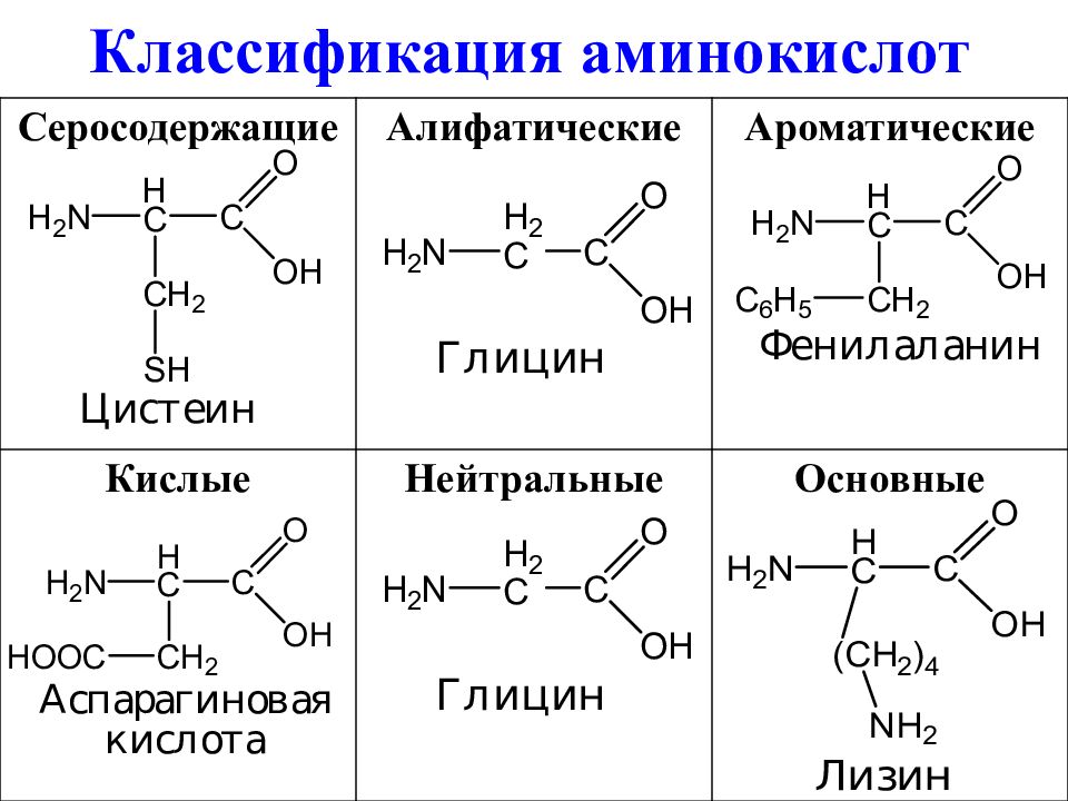 Состав радикалов аминокислот. Классификация аминокислот серосодержащие. Классификация аминокислот циклические ациклические. Классификация аминокислот ациклические циклические аминокислоты. Классификация алифатических аминокислот.