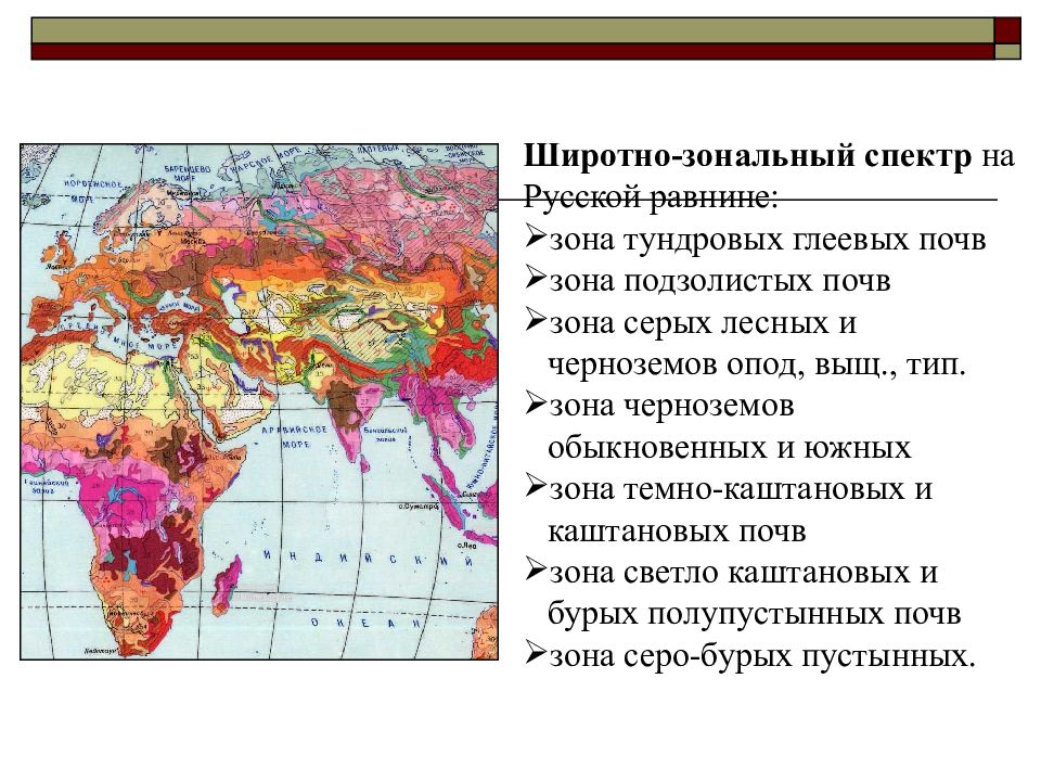 Почвенная карта дает информацию о распространении типов почв