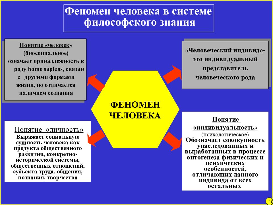 Сущность социального философия. Феномен человека в философии. Феномен человека в системе в философского знания. Люди-феномены. Феномены жизни человека.