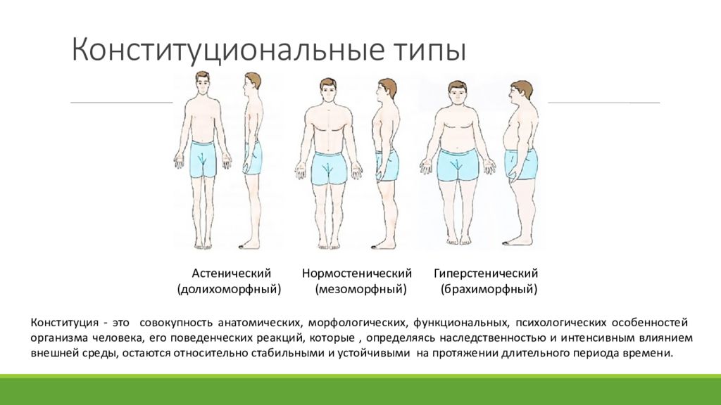 Конституция человека может быть. Астенический нормостенический гиперстенический. Конституциональный Тип. Типы Конституции человека. Конституциональный Тип человека.