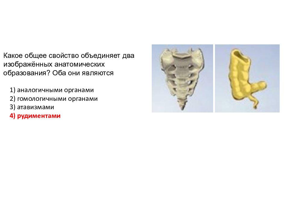 Какое общее свойство. Какое общее. ОГЭ по биологии общее свойство. ОГЭ по биологии задание 1, какое общее свойство.