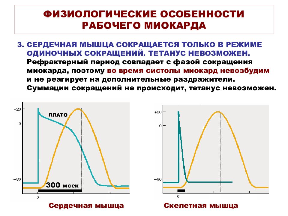 Физиологические особенности это