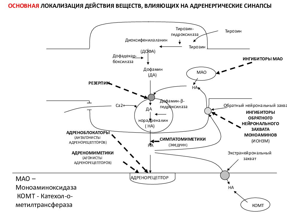 Средства влияющие на синапсы