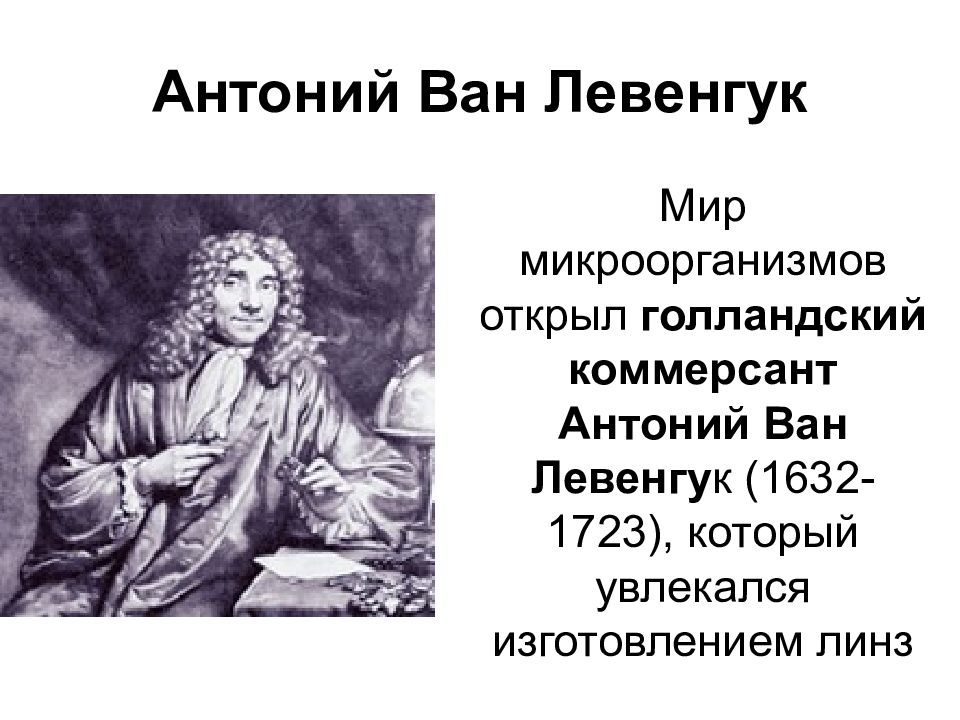 Антоний ван левенгук. 1680 Антоний Ван Левенгук. 1680 Антоний Ван Левенгук открытие. Голландец Левенгук.