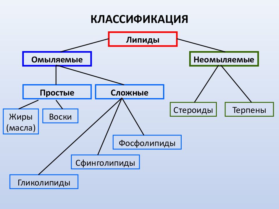 Красивая классификация в презентации