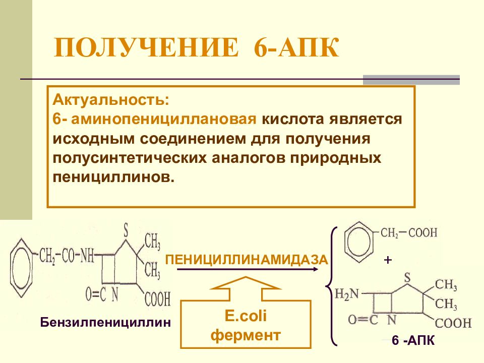 Получение компонентов геншин. Получение 6-аминопенициллановой кислоты. Получение 6 АПК. 6 Аминопенициллановая кислота Синтез. Синтез бензилпенициллина.