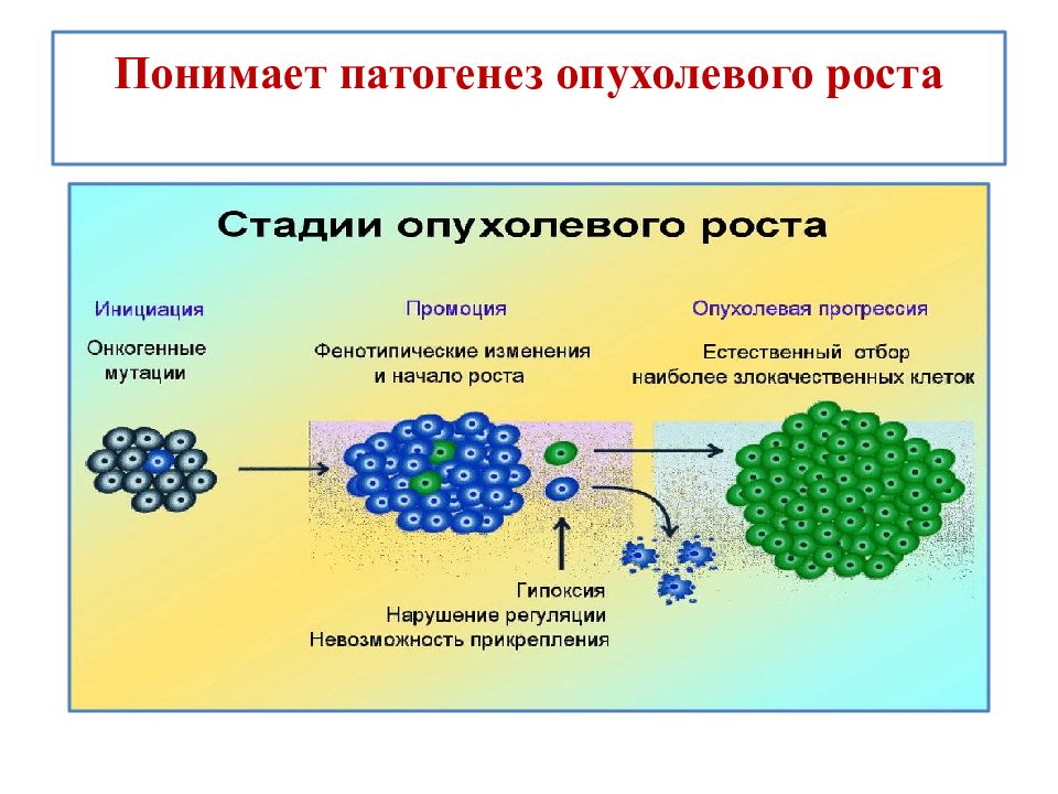 Опухолевый рост. Патогенез опухолевого роста. Стадии опухолевого роста. Этапы патогенеза опухолевого роста. Общий патогенез опухолевого роста.