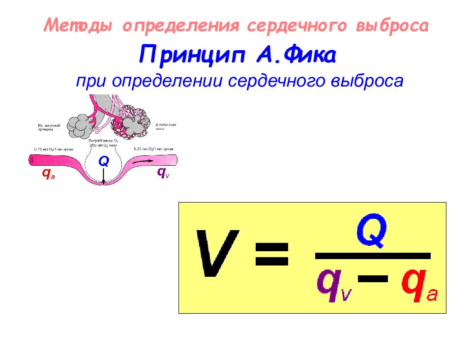 Сердечный определение. Метод фика. Метод фика для определения минутного. Определение сердечного выброса по методу фика. Метод фика сердечный выброс.