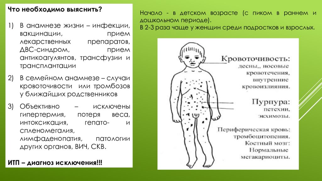 Иммунная тромбоцитопения презентация