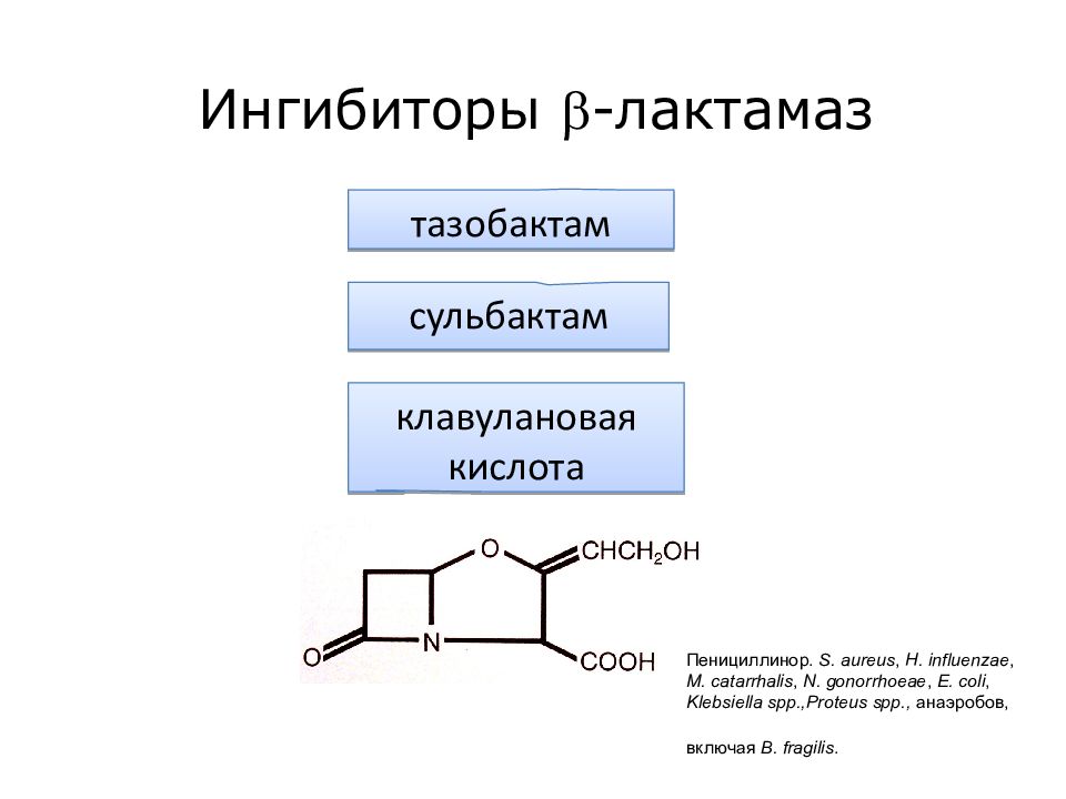 Ингибиторы лактамазы