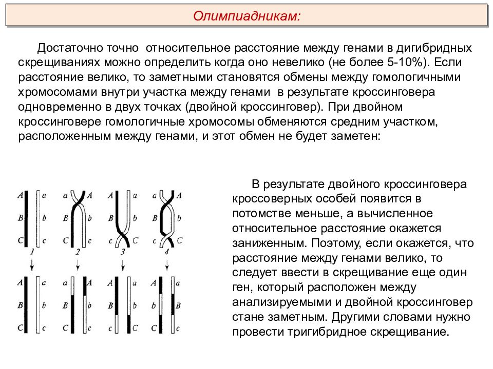 Участки между генами. Определение расстояния между генами. Определить расстояние между генами. Процент кроссинговера между генами. Вычисление расстояния между генами.