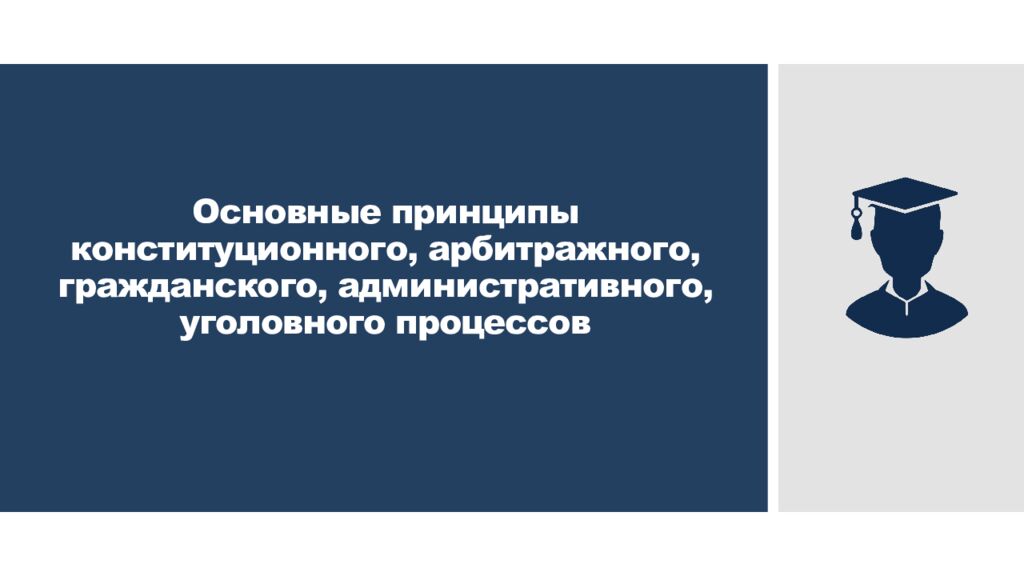 Основные принципы конституционного, арбитражного, гражданского, административного, уголовного процессов