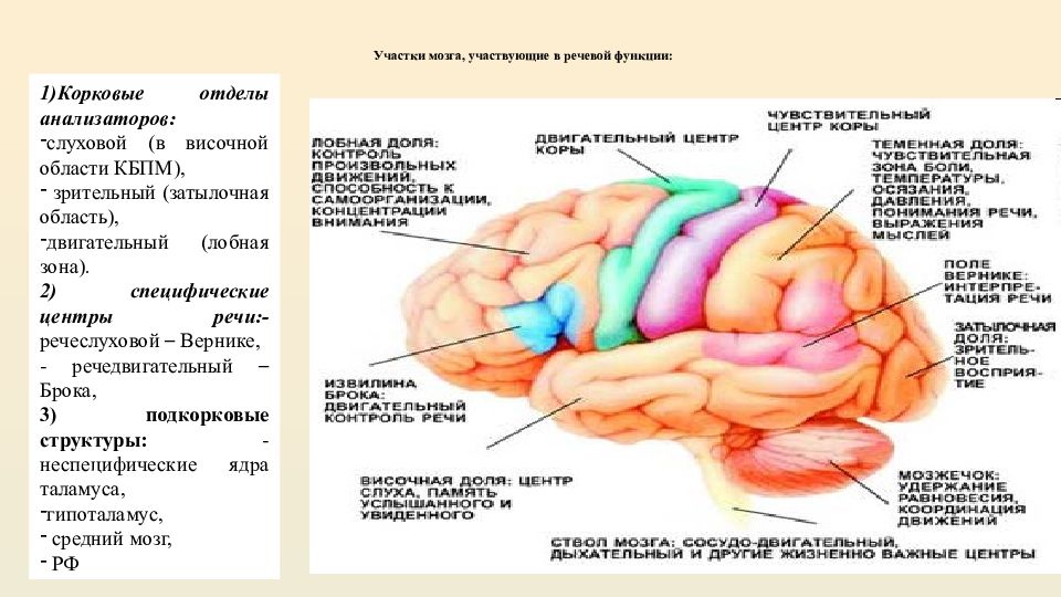 Речь как высшая психическая функция презентация