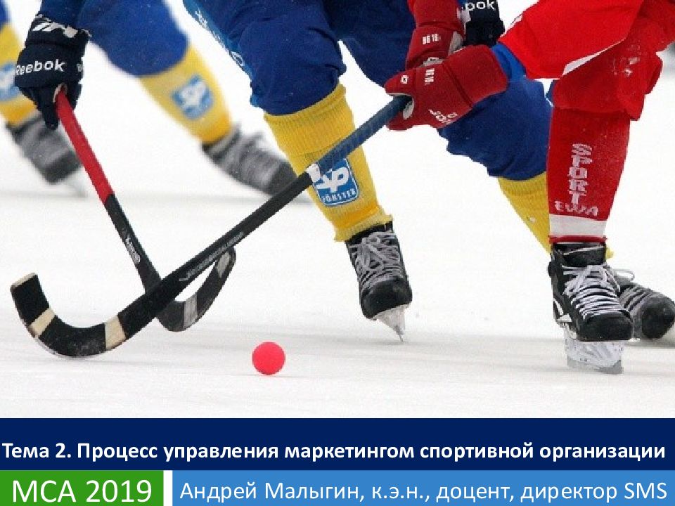 МСА 2019 Андрей Малыгин, к.э.н., доцент, директор SMS Тема 2. Процесс