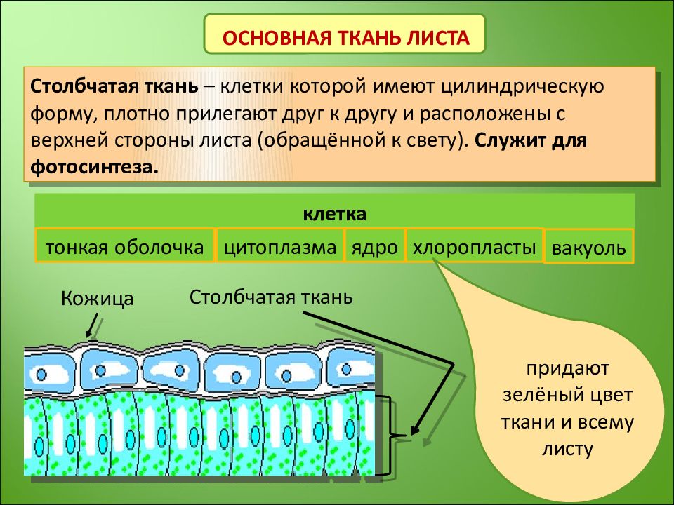 Основным объектом презентации является выберите один ответ a страница b книга c слайд d лист