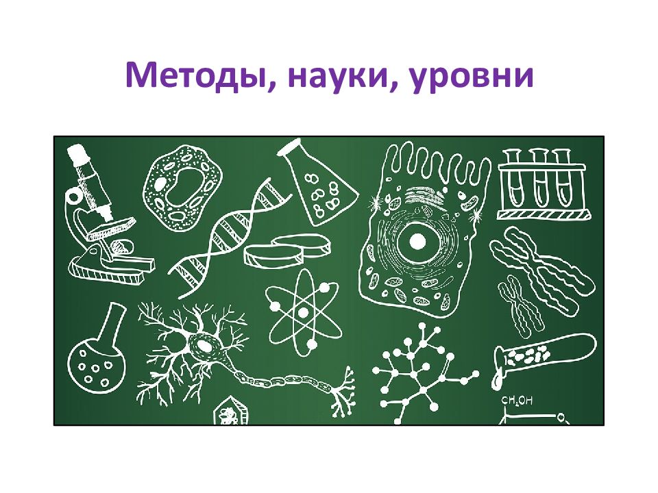 4 научных метода. Методы науки. Общие методы науки. Доска биология для слайда. ЕГЭ биология подготовка презентация.