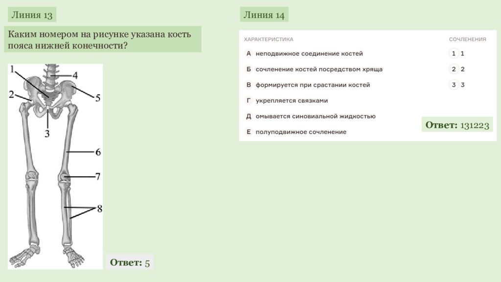 ЕГЭ 2027 ОДС ОТРАБОТКА