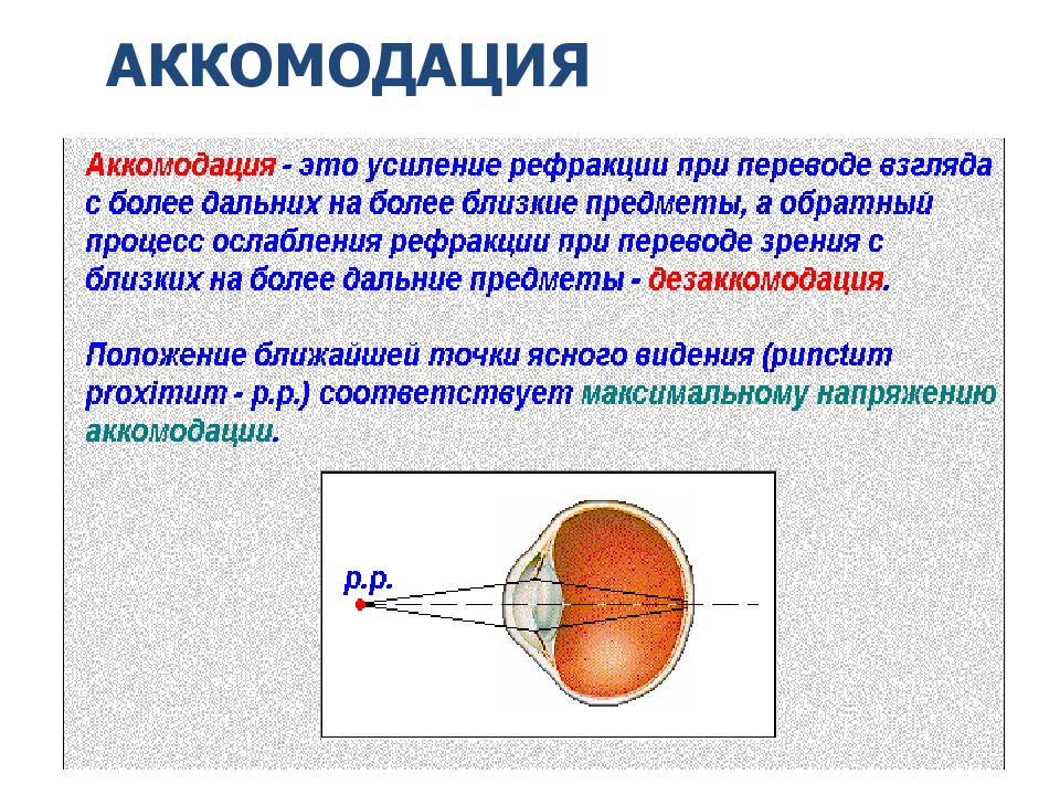 Аккомодация офтальмология презентация