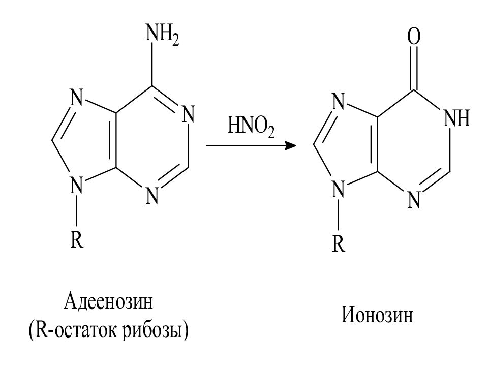 Строение пиримидина. Синтез ионозина.