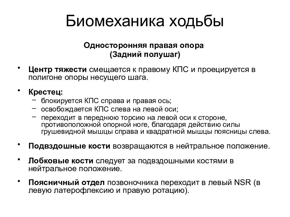 Биомеханика ходьбы. Анатомия и биомеханика таза. Биомеханика движения таза. Биомеханизм ходьбы.