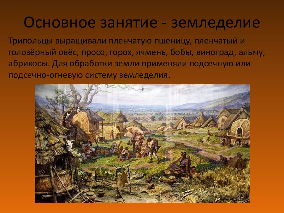 Сравните подсечно огневую систему земледелия с трехпольем. Занятие трипольцев. Культура земледелия. Трипольцы это кто. Подсечно огневое земледелие трипольцев картинки.