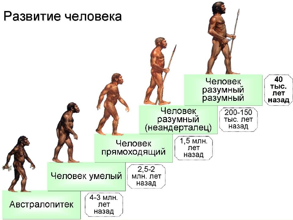 Все первобытные изображения носили какой характер