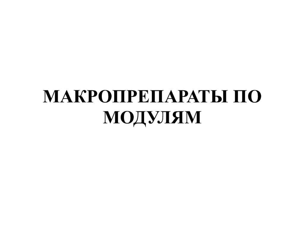 МАКРОПРЕПАРАТЫ ПО МОДУЛЯМ
