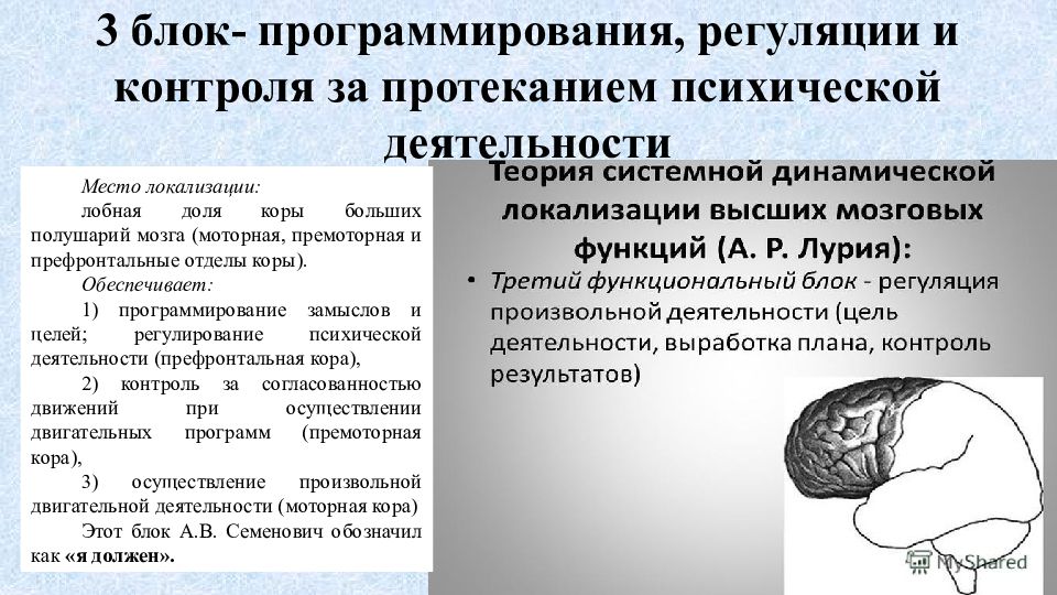 Высшие психические функции презентация