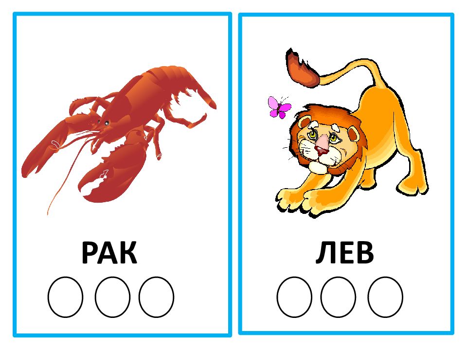 Кошка звуковая схема