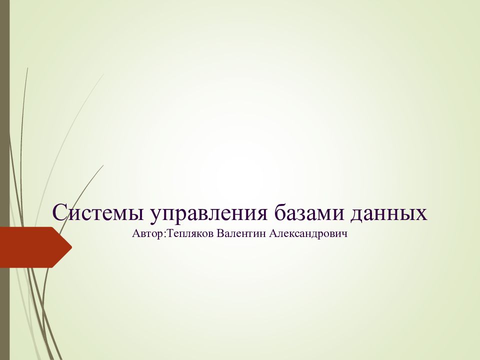Системы управления базами данных Автор : Тепляков Валентин Александрович