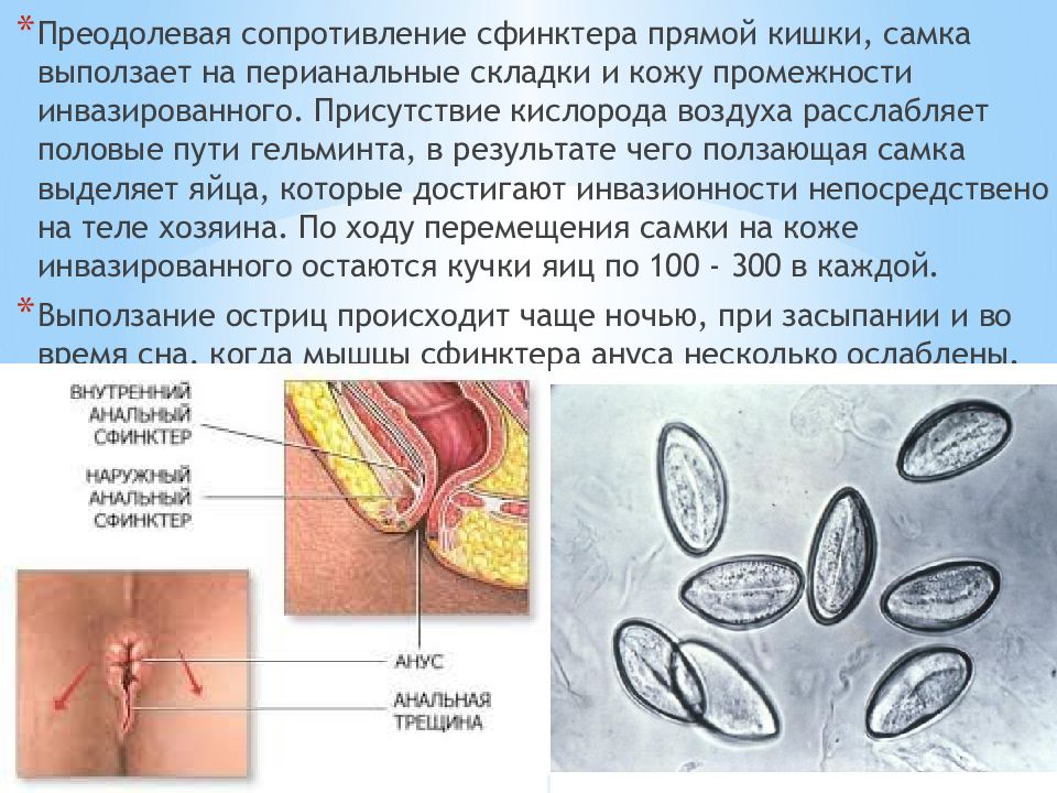 Перианальный дерматит схема лечения